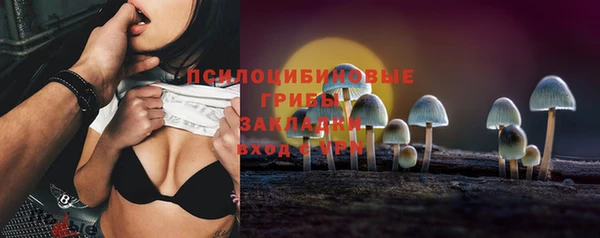крисы Абдулино