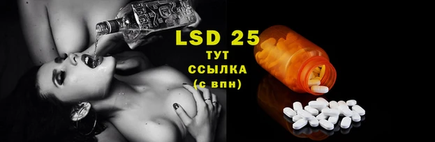 крисы Абдулино