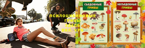 крисы Абдулино