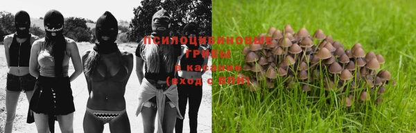 крисы Абдулино