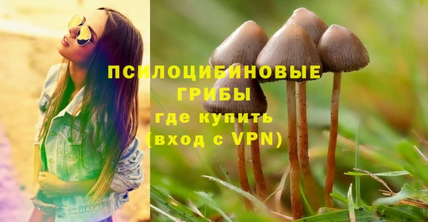 мдма Гусев