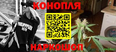 прущие грибы Малгобек