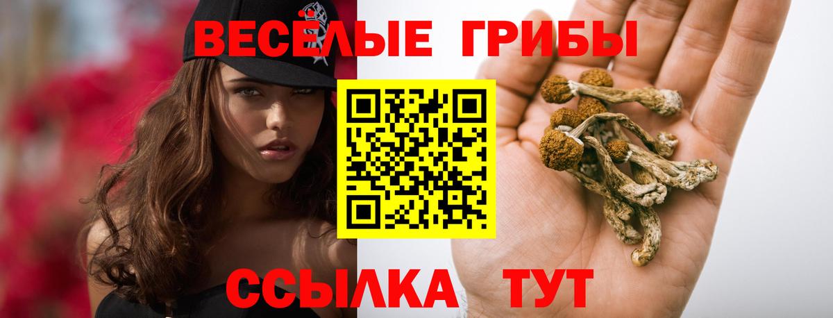 Псилоцибиновые грибы MAGIC MUSHROOMS Истра